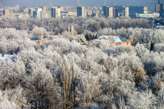 Потепление до нуля градусов ожидается в Москве к концу недели, фото