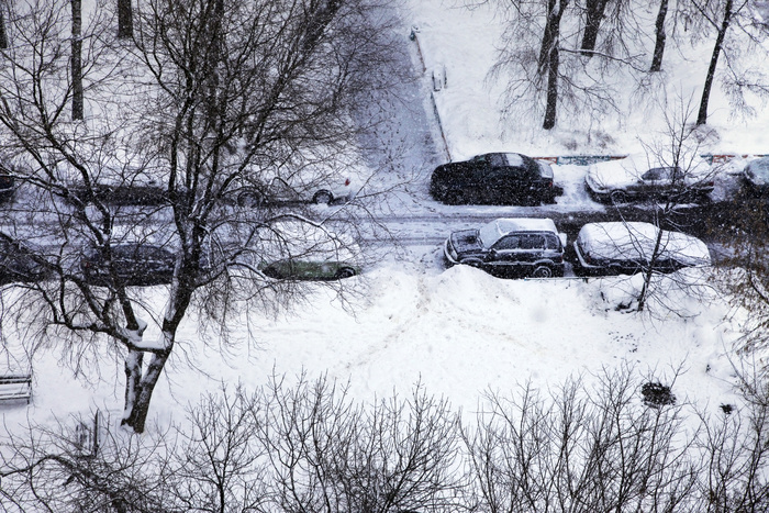 Около 6-8 см снега может выпасть в Москве в понедельник, фото