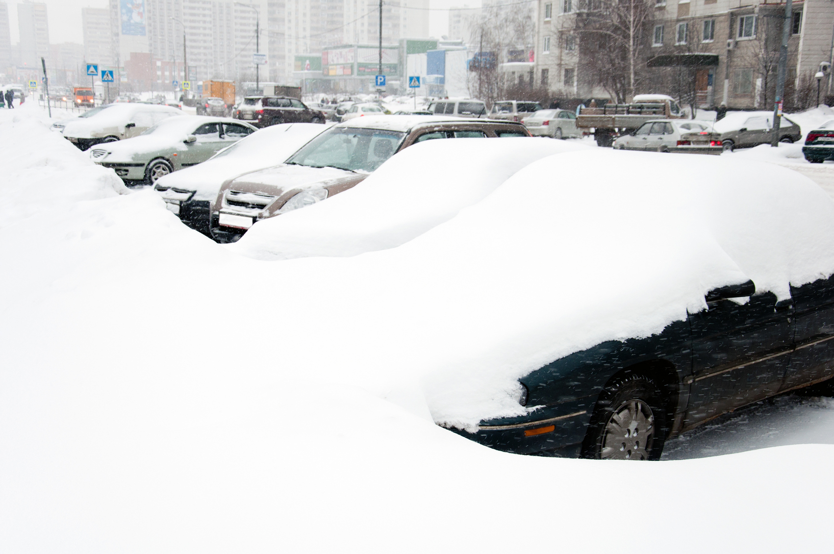 В Москве за выходные может выпасть до 6 см снега‍, фото