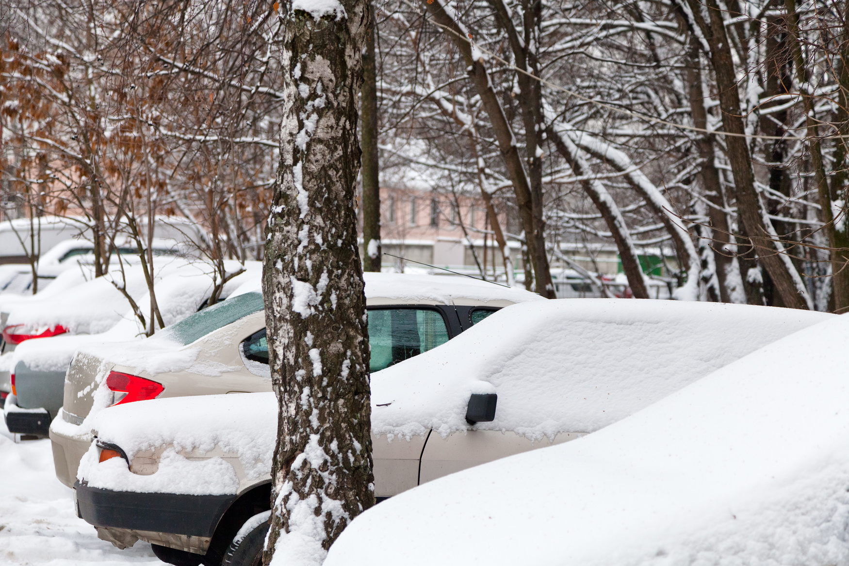 Более миллиона кубометров снега вывезли за сутки с улиц Москвы, фото