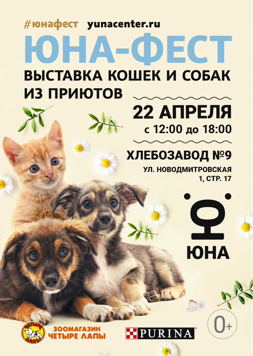 В столице пройдет выставка кошек и собак из московских приютов, фото