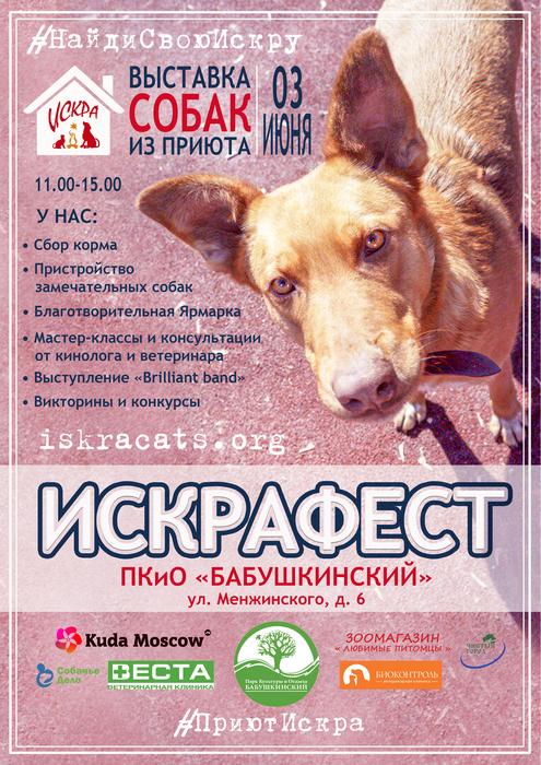 В Бабушкинском парке пройдет выставка собак из приюта, фото