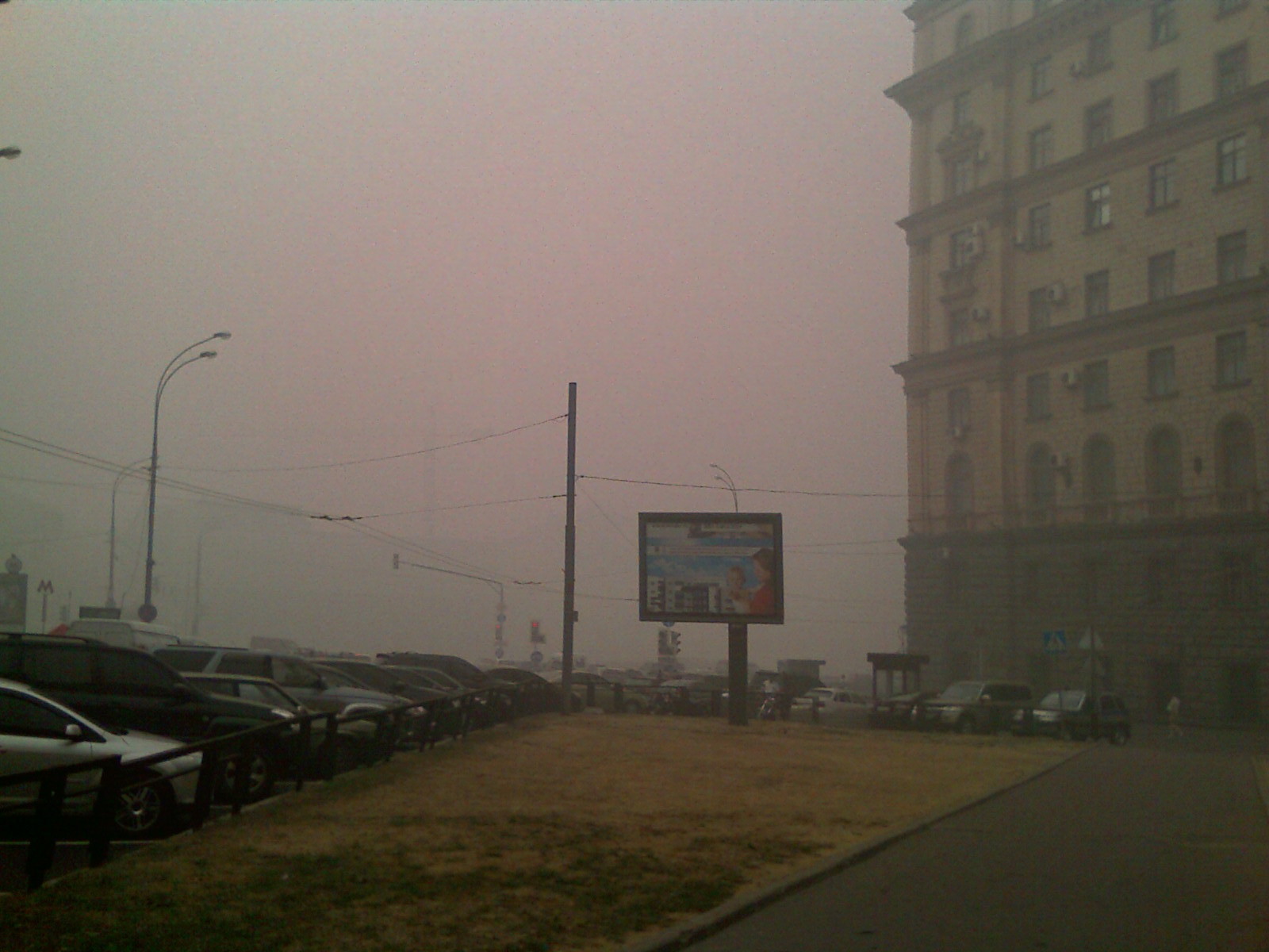 Ситуация 2010 года со смогом не повторится, заявил глава Рослесхоза, фото
