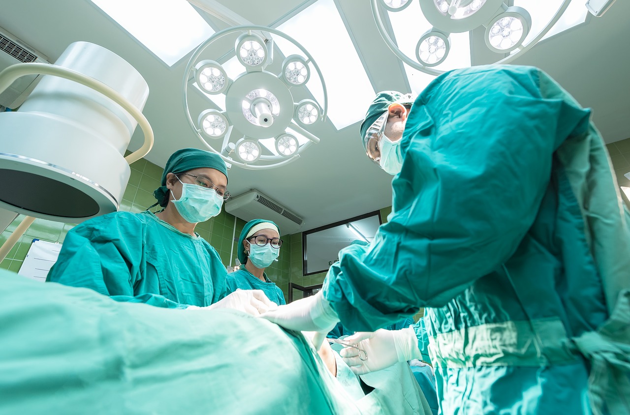 В Боткинской больнице будут проводить операции по пересадке органов‍, фото