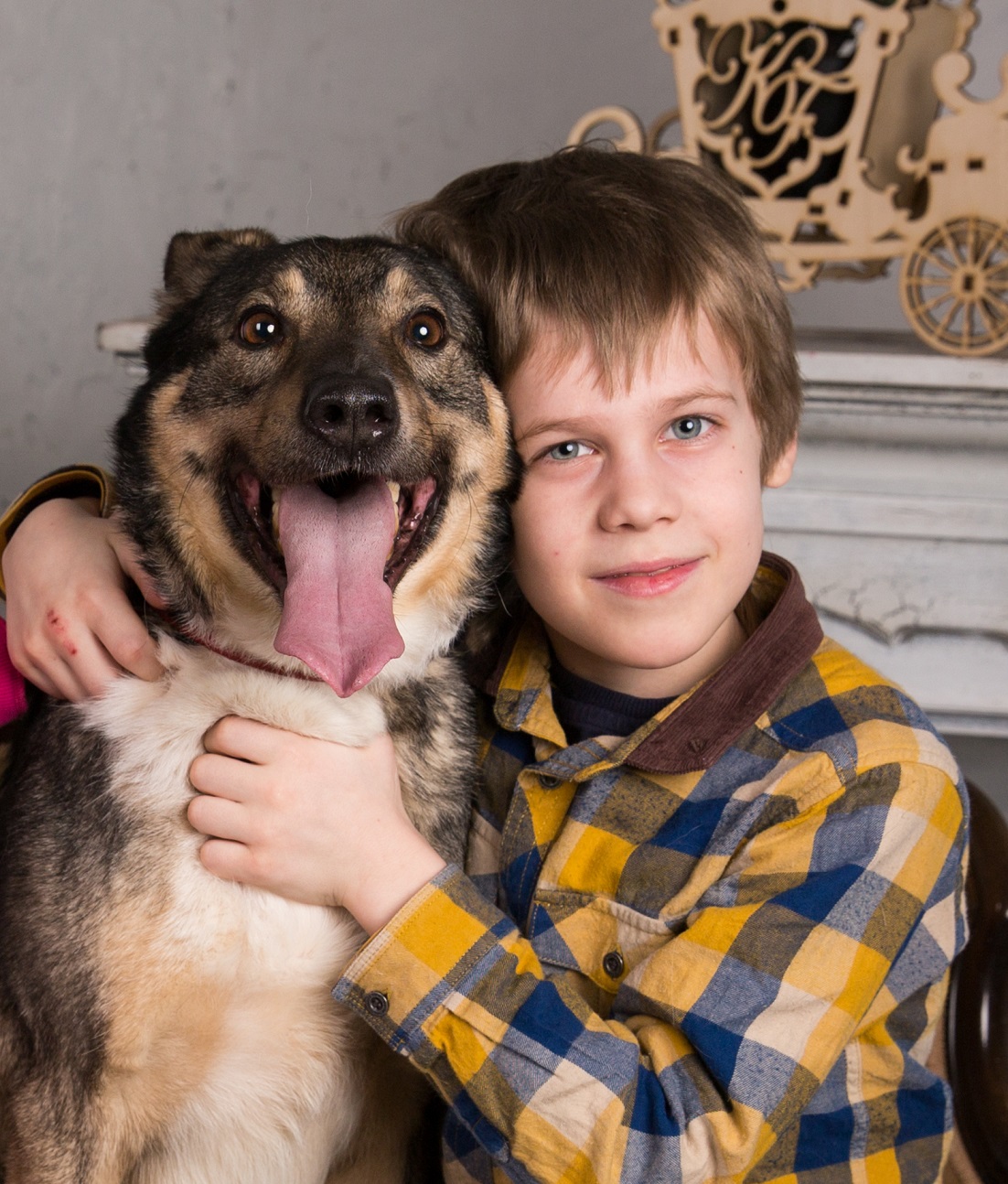 Фонд помощи животным «Собаки, которые любят» проведет благотворительное мероприятие, фото