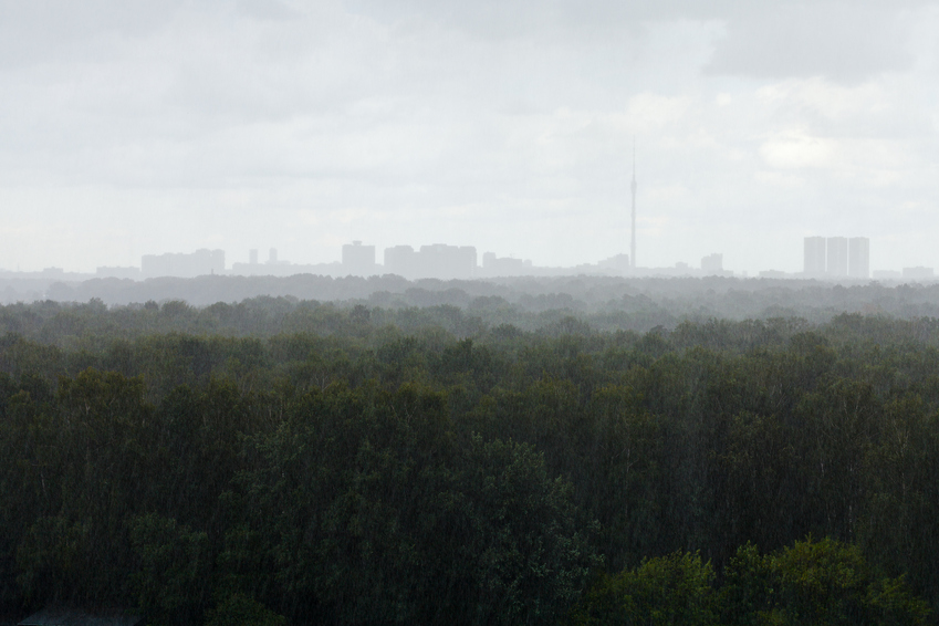 Дождливая погода вернется в Москву 2 октября, фото