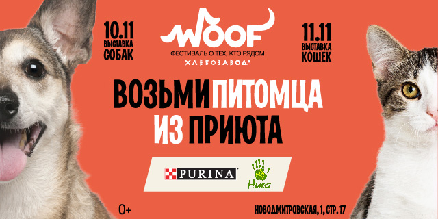 В Москве 10 и 11 ноября пройдет благотворительный фестиваль «WOOF», фото