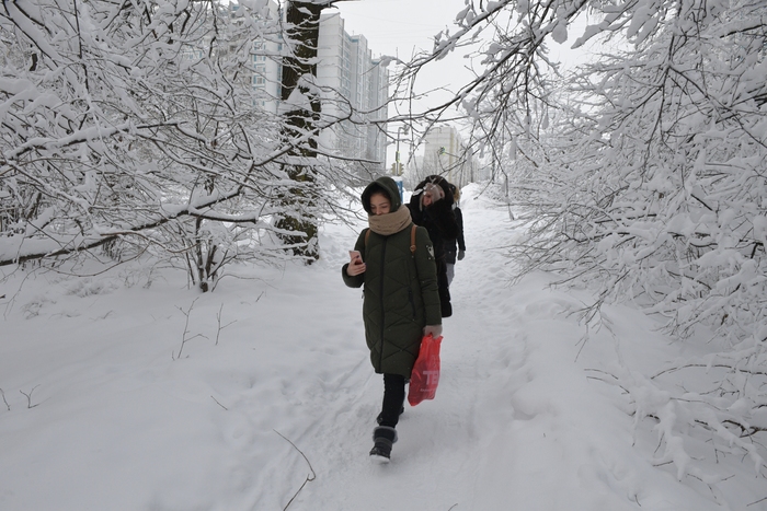 В Москве 24 и 25 декабря ожидаются сильные снегопады, фото
