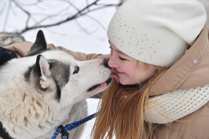 Москвичи могут записать собак и кошек к ветеринару через интернет, фото