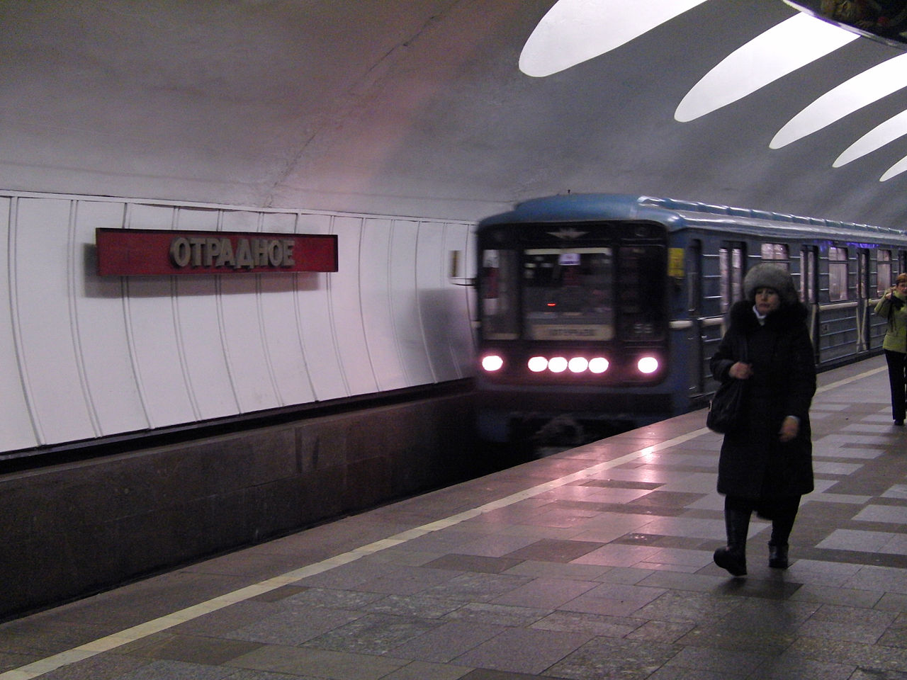 В Москве мужчина пытался прорваться в метро с пистолетом, фото