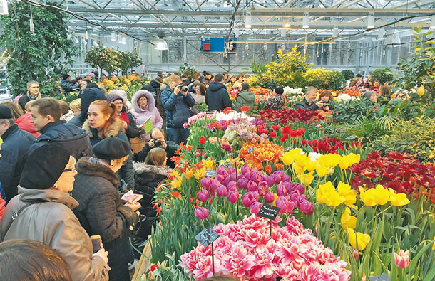 Крупнейшая в России выставка тюльпанов, фото
