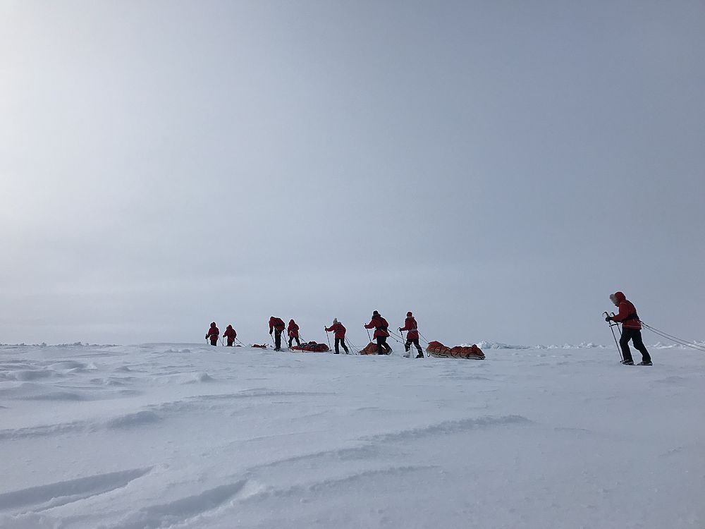 14 московских школьников отправятся в экспедицию на Северный полюс, фото