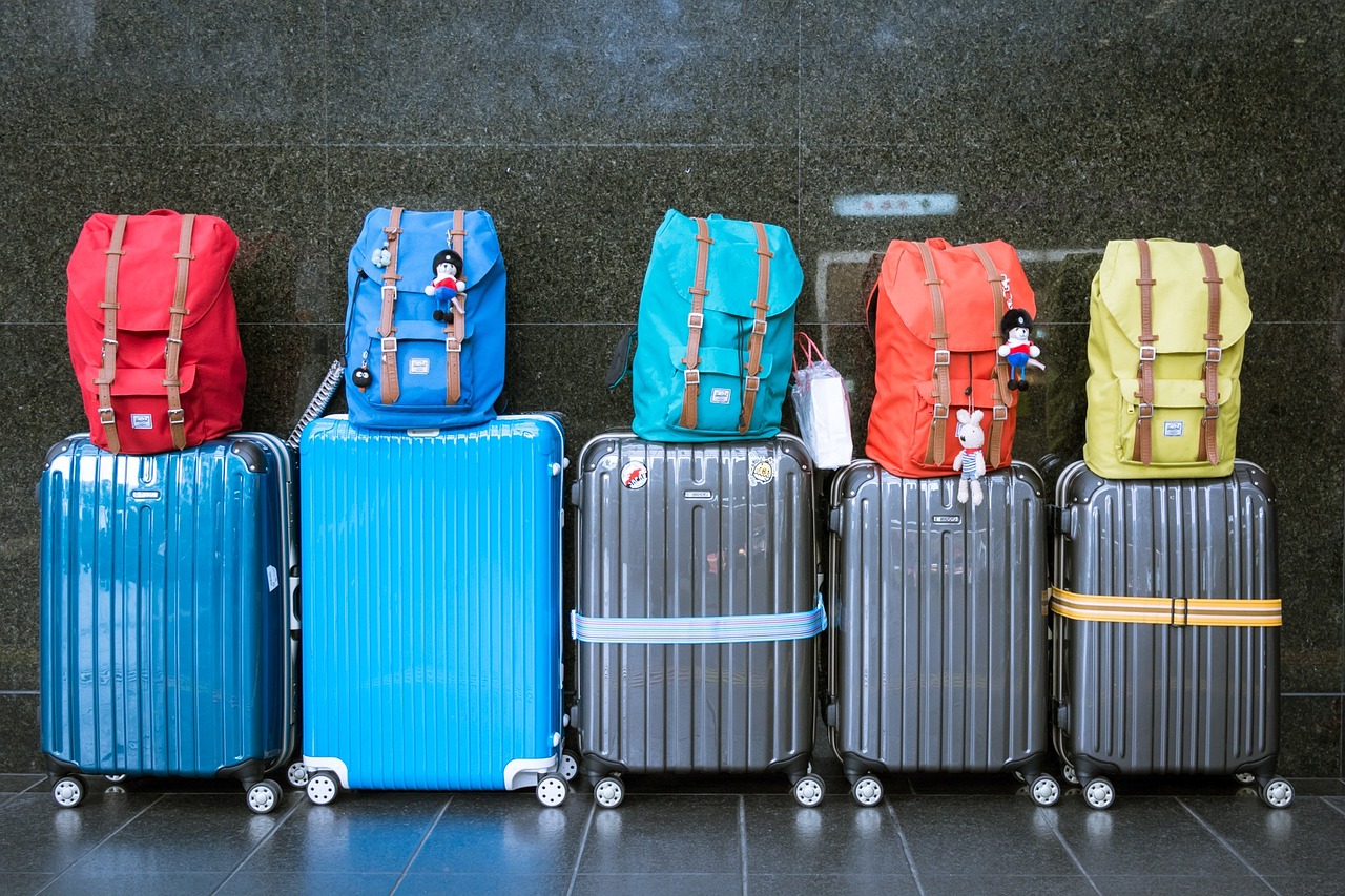 В России с 19 августа ужесточат правила провоза багажа через границу, фото