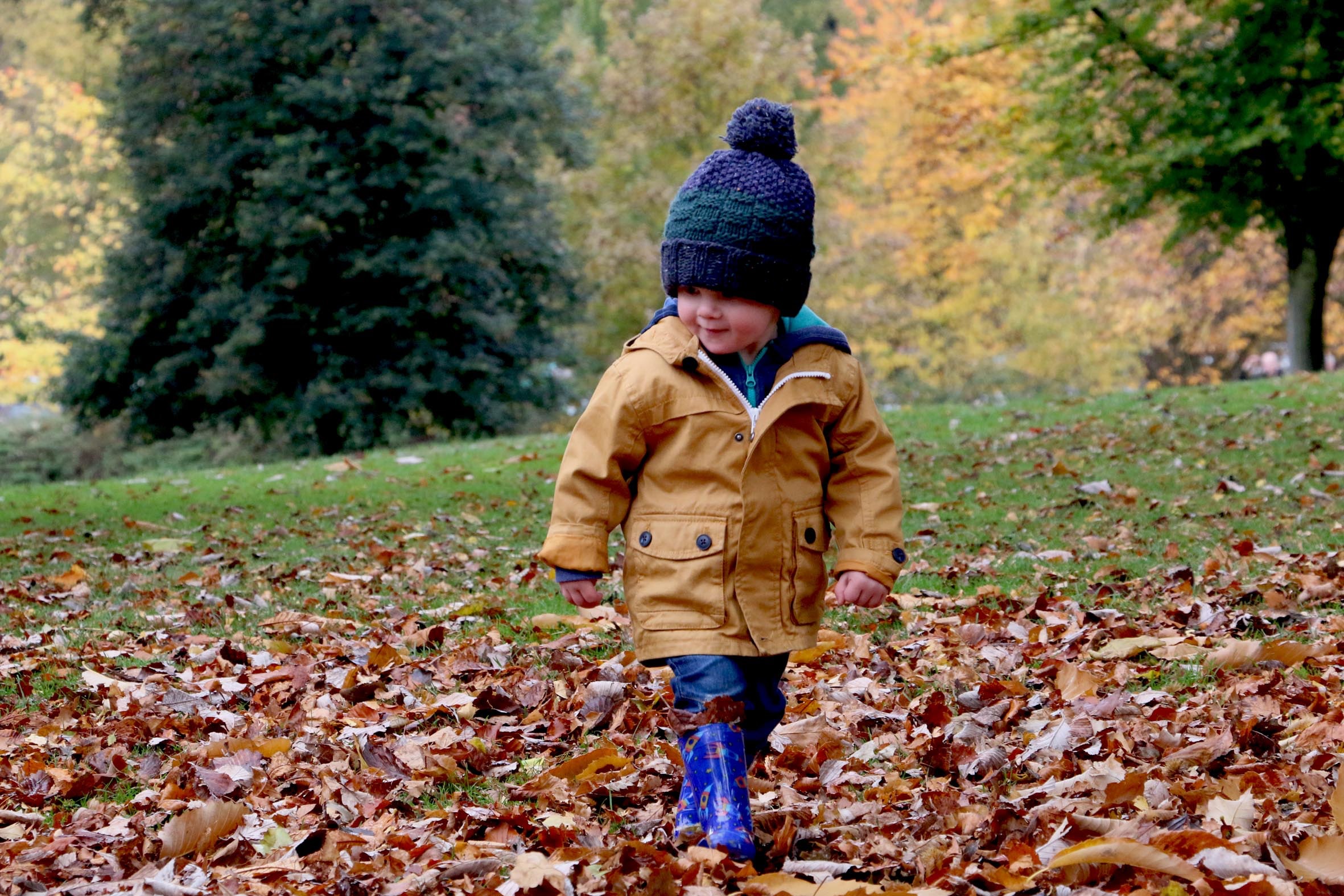 Мальчишки гуляют. Осень для детей. Мальчик осенью. Осенний парк дети. Осенняя прогулка.