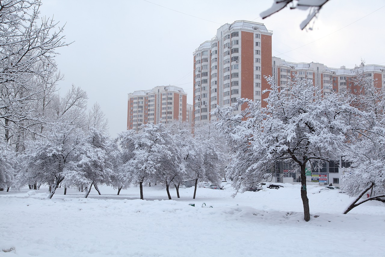 Мокрый снег ожидается в Москве и Подмосковье в середине недели, фото