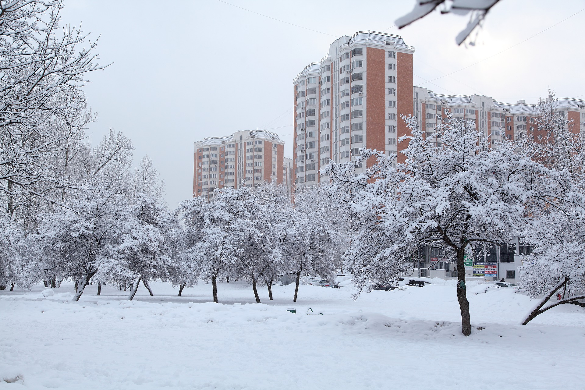 Вильфанд: Снежный покров появится в Москве 28 ноября, фото
