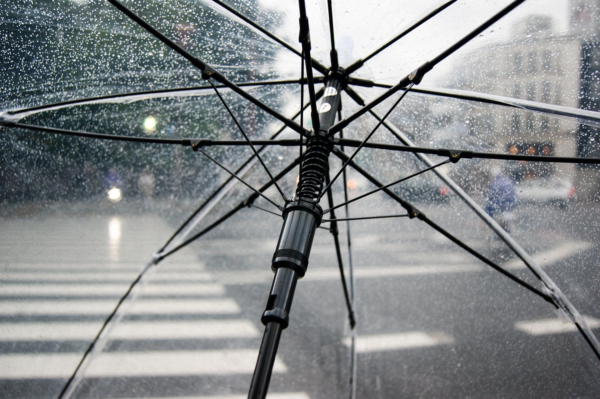 С 16 по 23 декабря москвичи чаще всего покупали дождевики и зонты, фото