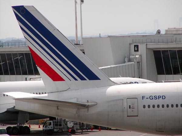 Самолет не смог вылететь из Парижа в Москву из-за драки пилотов, фото
