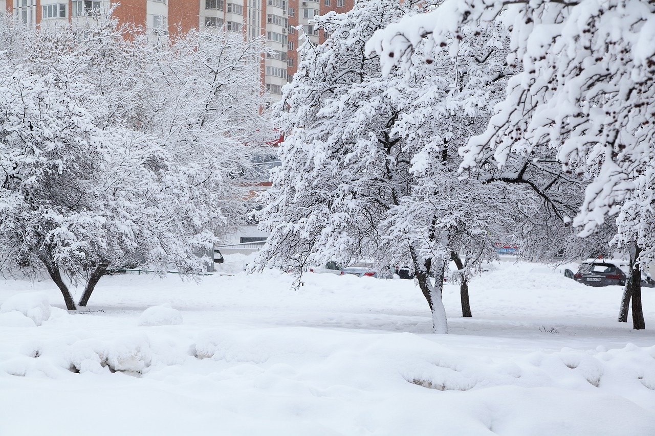 Первый снегопад в Москве ожидается вечером 18 ноября, фото