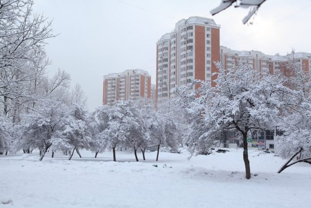 Североатлантический циклон «Грета» придет в Москву 25 декабря, фото