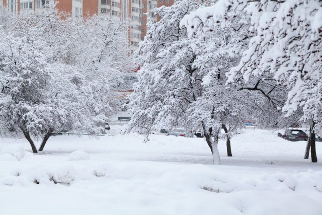 Ночь на 18 января стала самой холодной в Москве с начала зимы, фото
