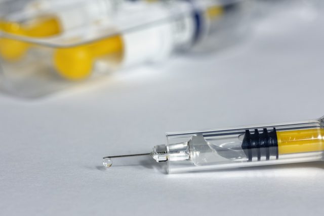 Путин поручил начать в России массовую вакцинацию населения от коронавируса, фото