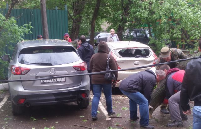Ветер в Москве повалил 49 деревьев, повреждены 24 машины, фото