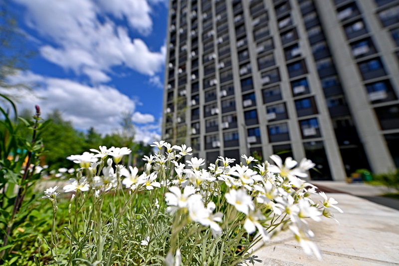 Андрей Бочкарёв: Москва почти на 90% выполнила годовой план по вводу жилья, фото