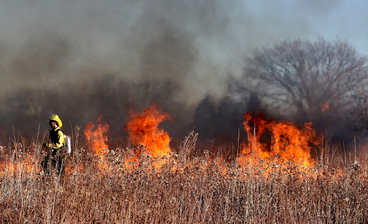 Институт теплотехники запатентовал способ борьбы с лесными пожарами, фото