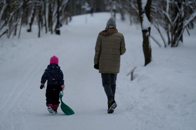 Роман Вильфанд: Москвичей ждет снежный и теплый конец января, фото