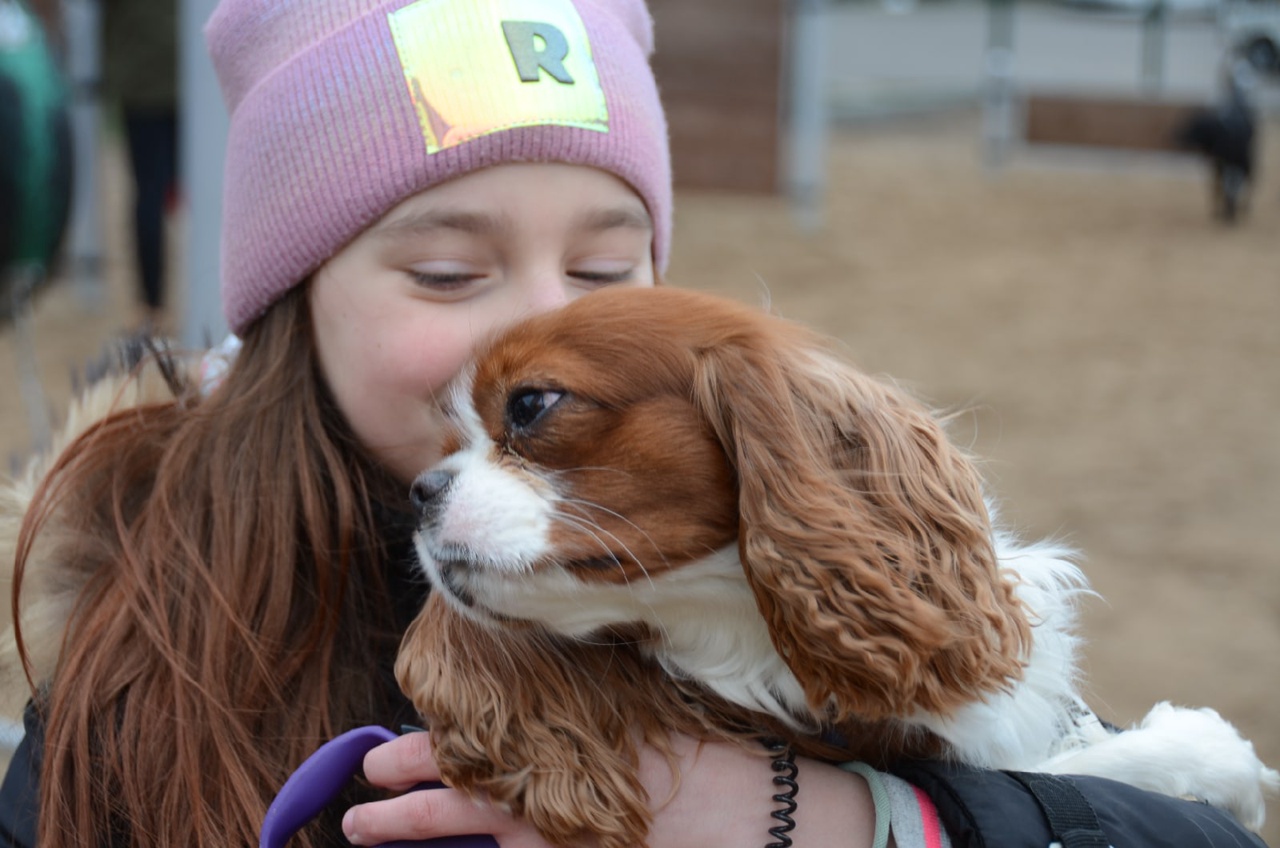 Собачье счастье: в Нагорном прошел фестиваль питомцев, фото