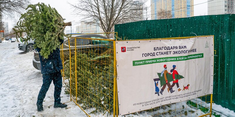 "Елочный круговорот" пройдет в Москве с 2 января по 20 февраля, фото