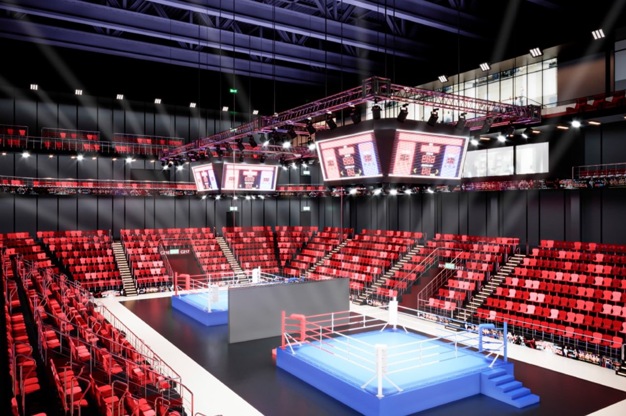 Центр самбо и бокса в Лужниках планируется подготовить к вводу в эксплуатацию летом, фото