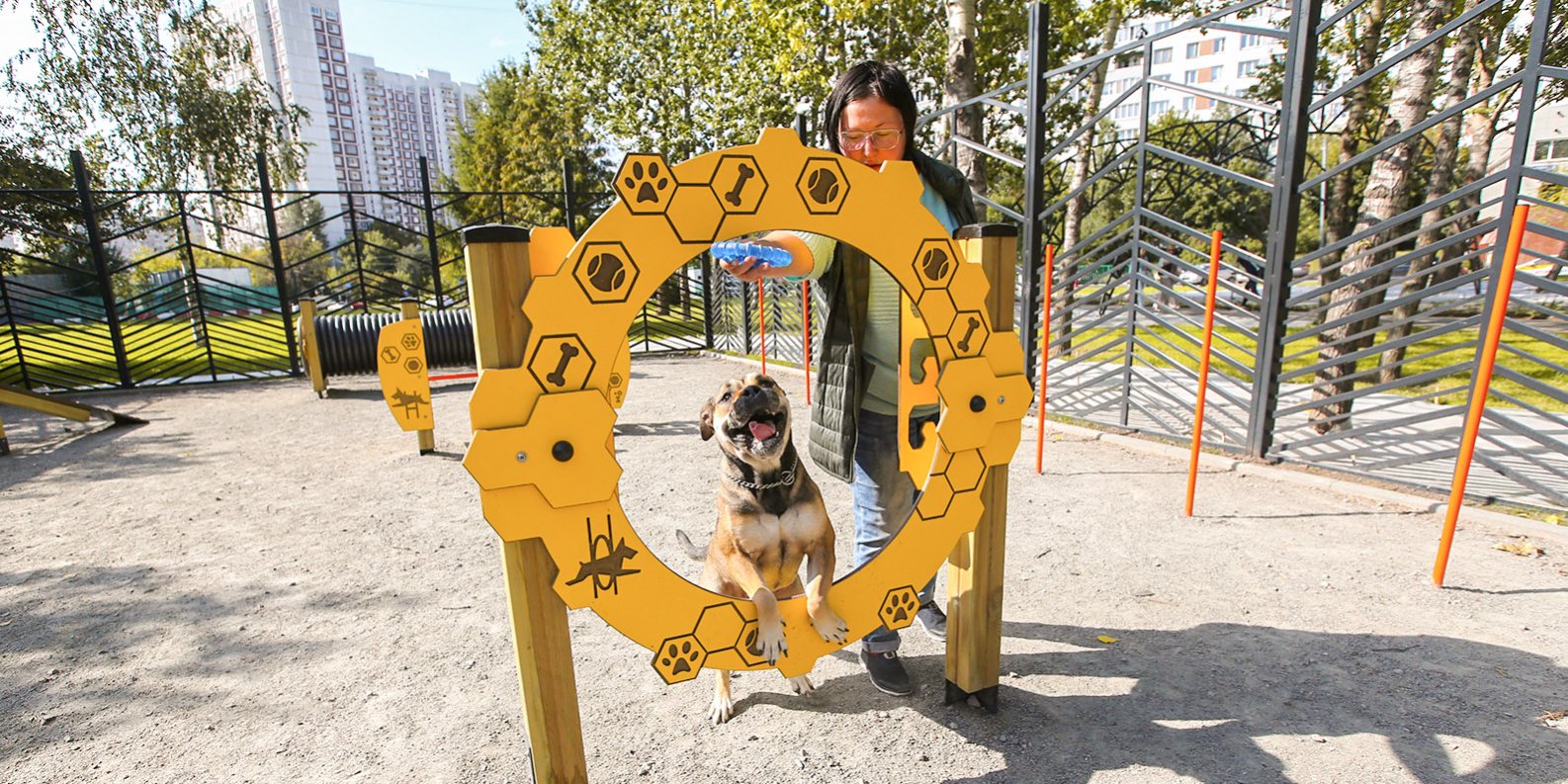 Жители ЗИЛАРТа собирают подписи за создание площадки для собак, фото