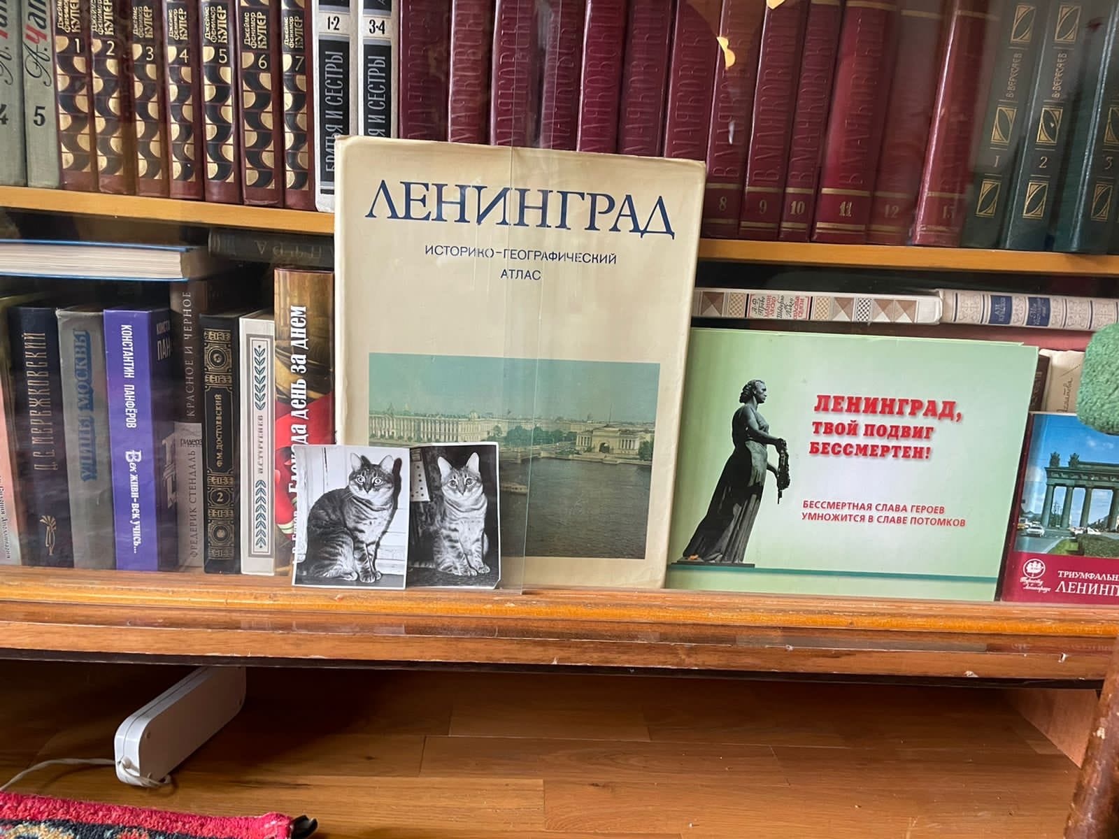 В районе Москворечье-Сабурово блокаднице передали памятную книгу  , фото