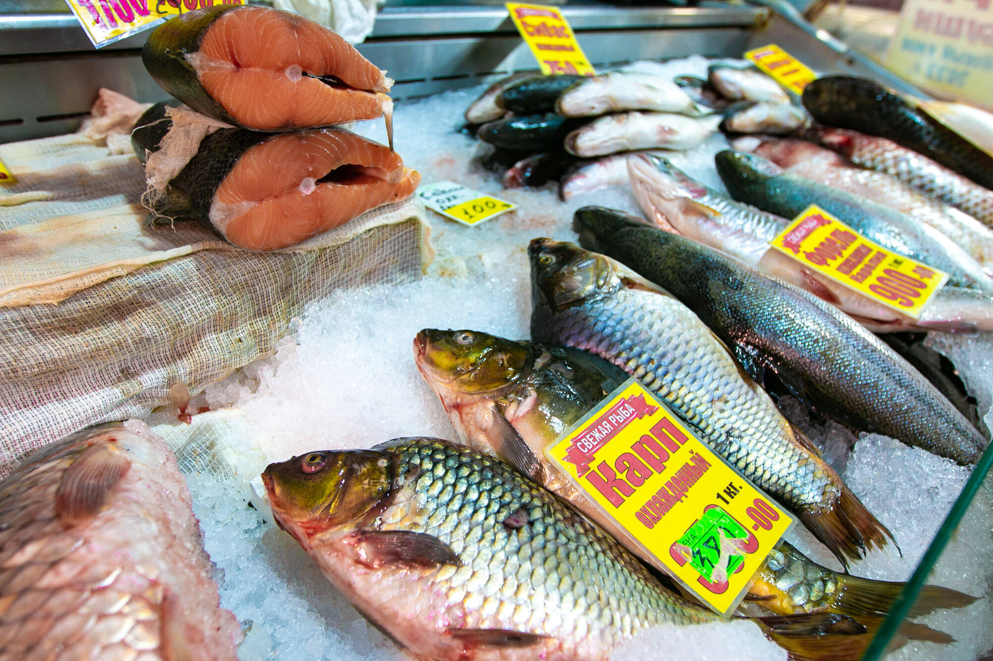 От нашего стола к вашему: выбираем рыбу своей мечты на рынках Москвы , фото