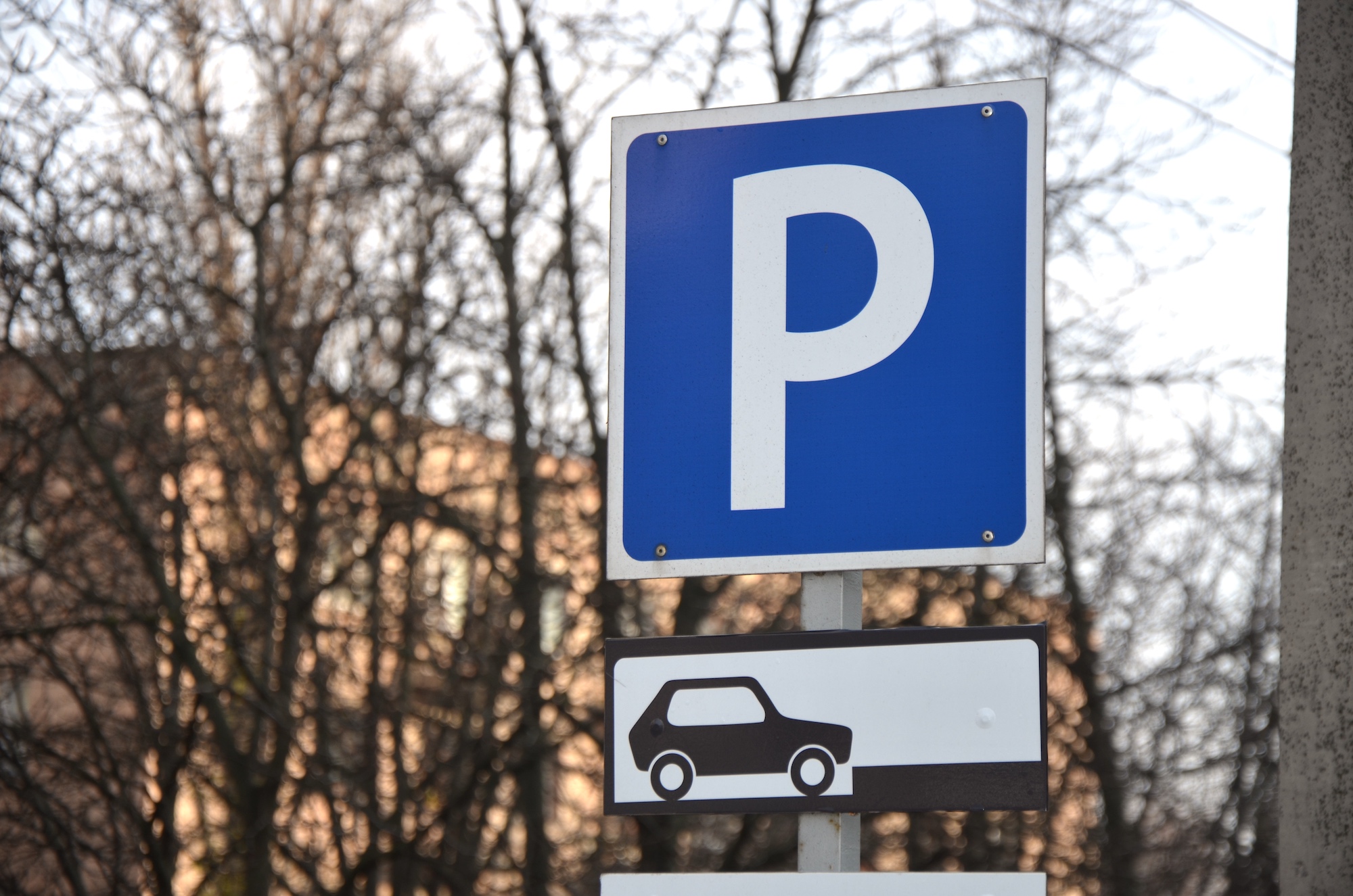 Парковка без штрафов: автостоянка у «Ведогонь-театра» стала легальной, фото