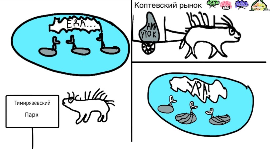 Карелин Михаил, 12 лет  фото