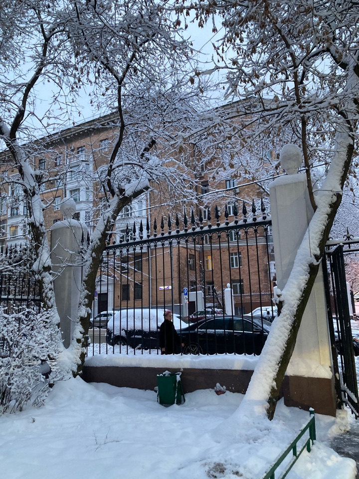 Кулик Василиса, 8 лет Кулик Василиса, 8 лет фото