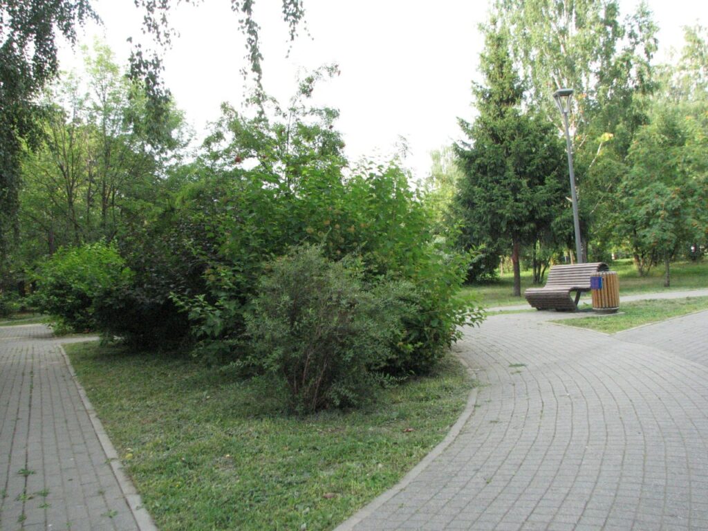 Щеглова Елизавета, 13 лет  фото