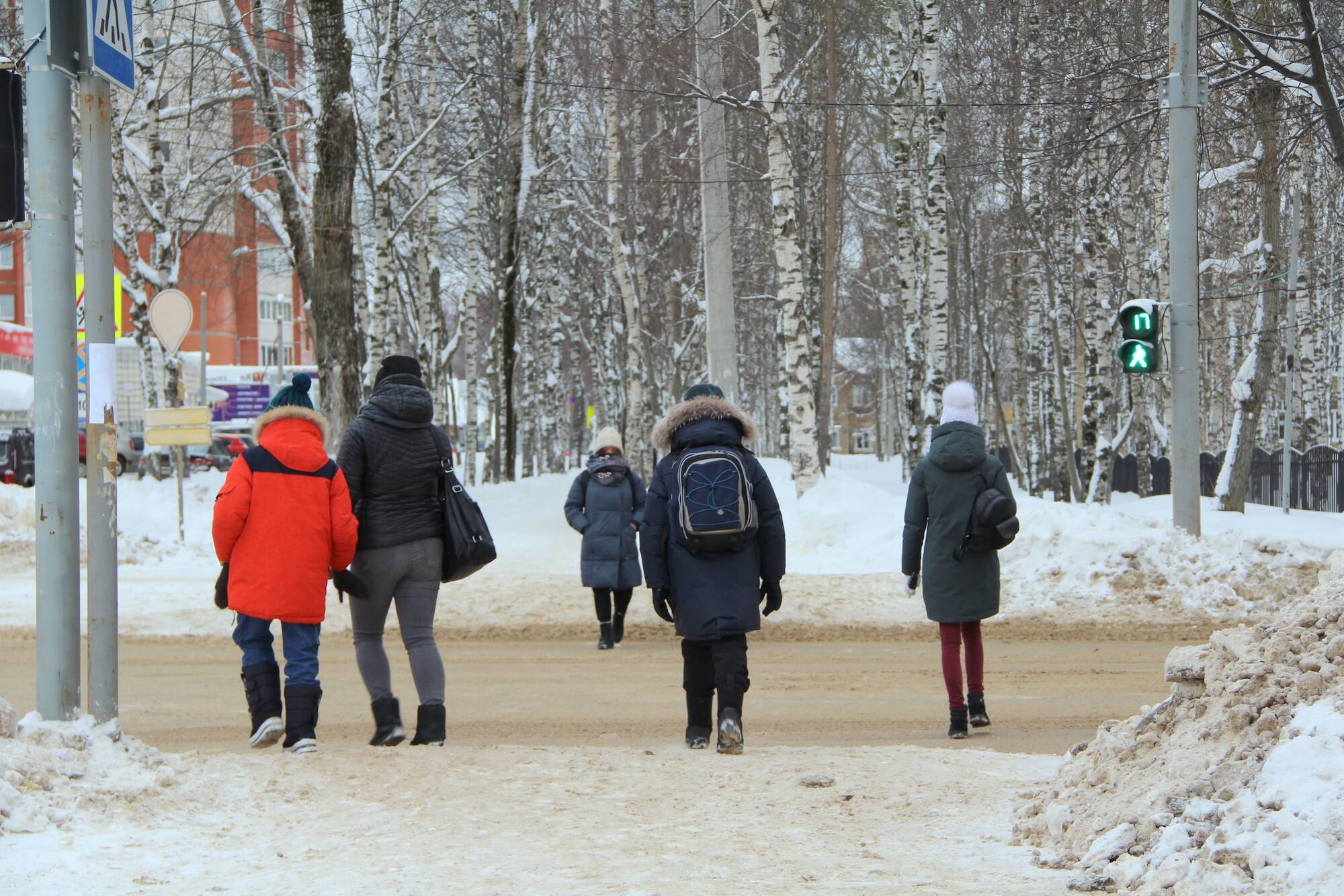 В Орехово-Борисово Северном привели в порядок дорогу к школе, фото
