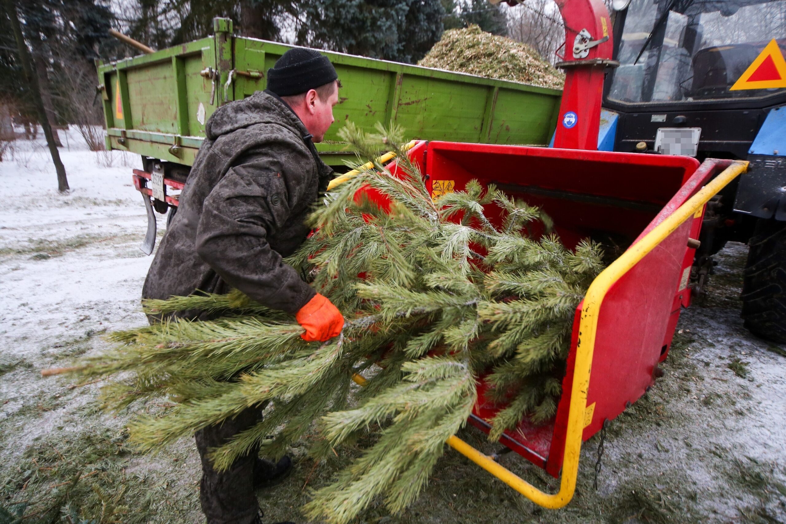 Более 14 тысяч новогодних ёлок сдали москвичи в январе, фото