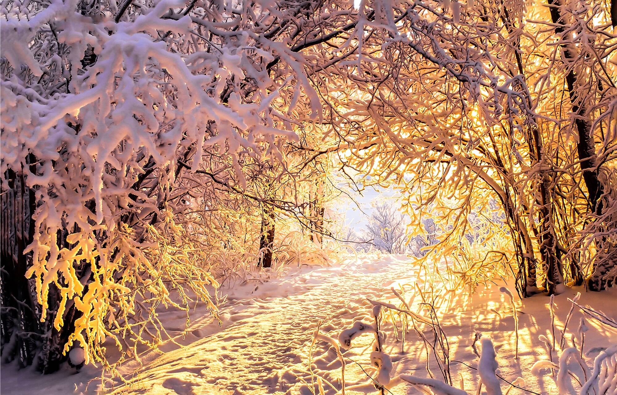 «Красавица Зима» пришла в Щербинку