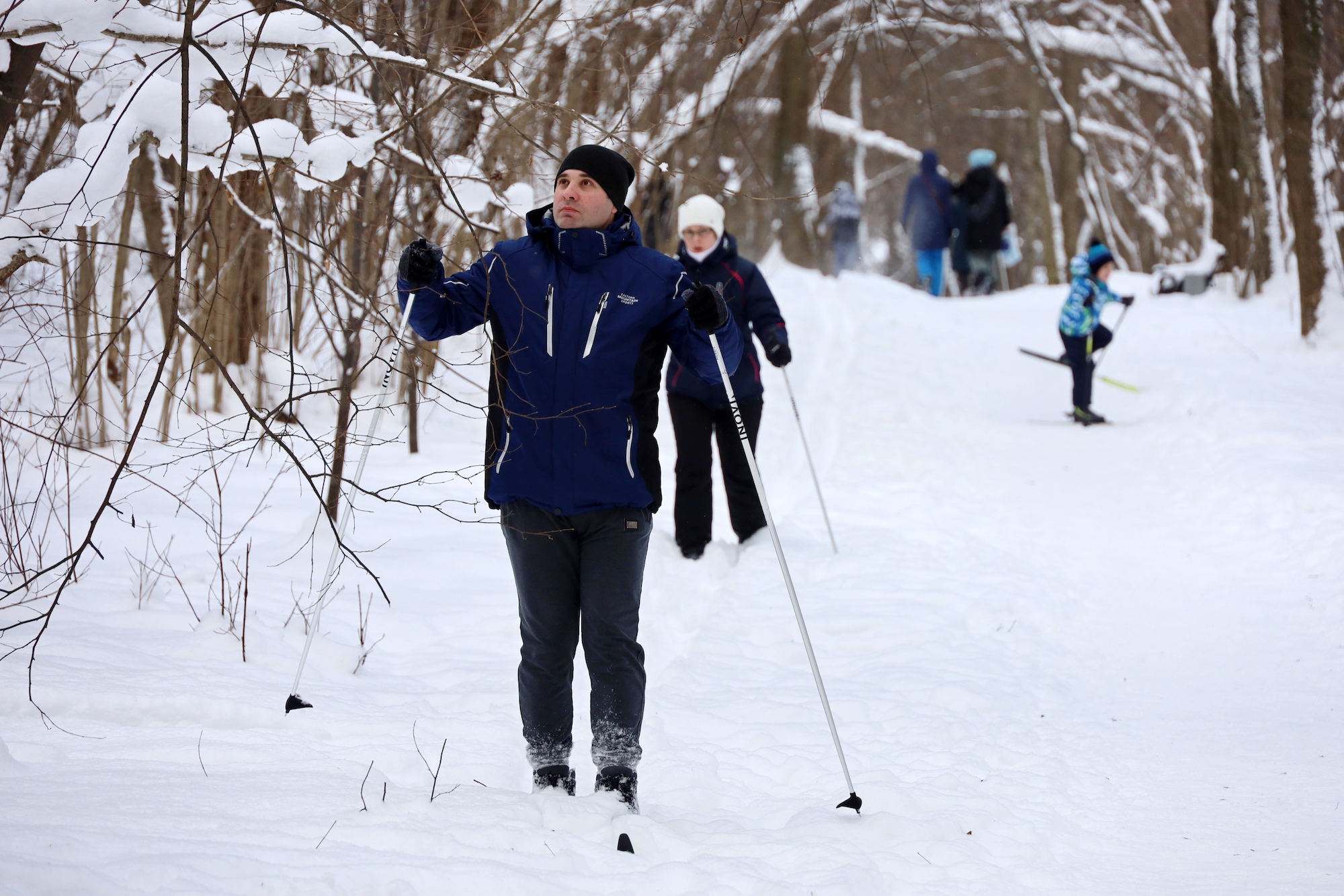 Встать на лыжи легко — в парке «Кузьминки», фото