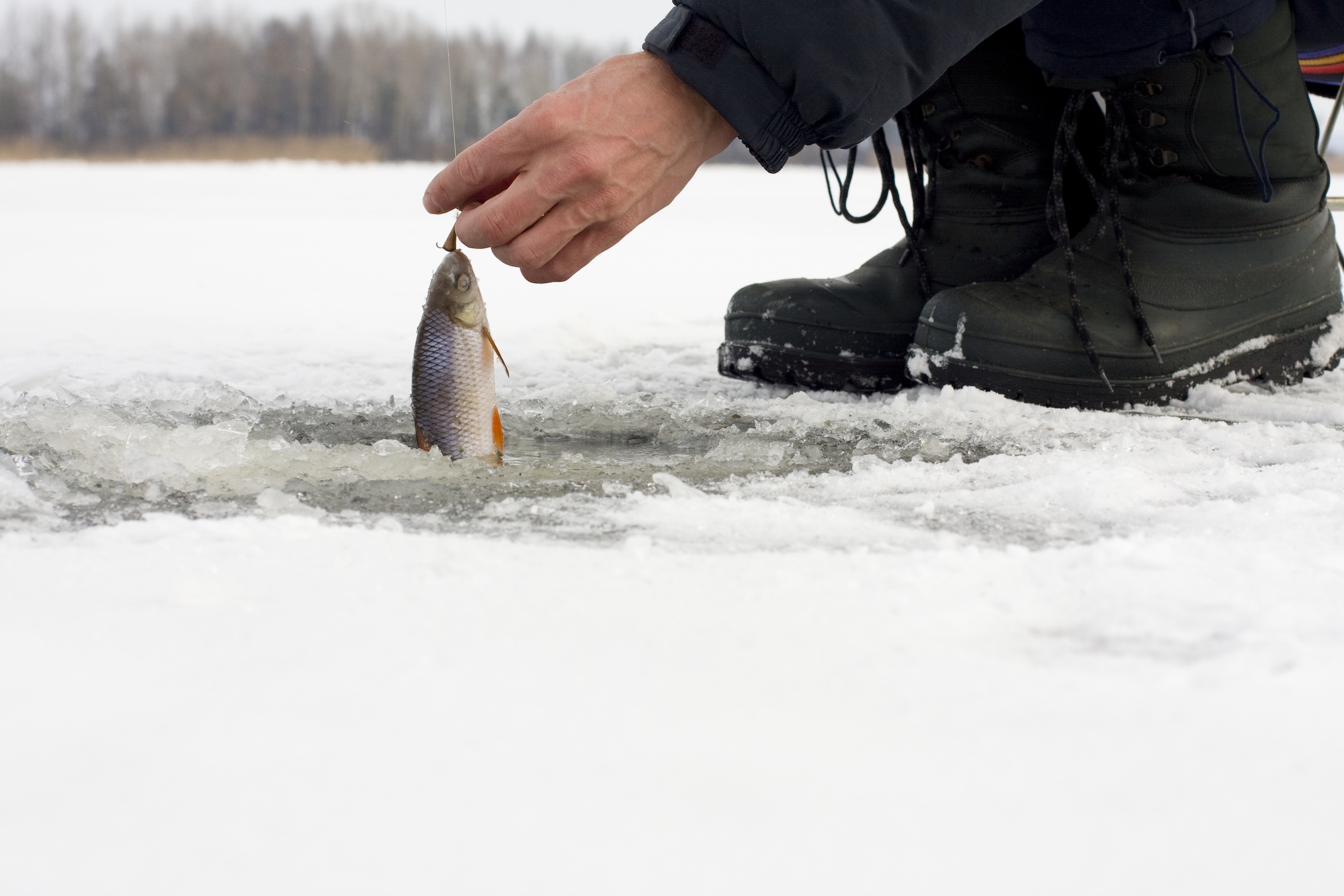 Какова безопасная толщина льда для зимней рыбалки?