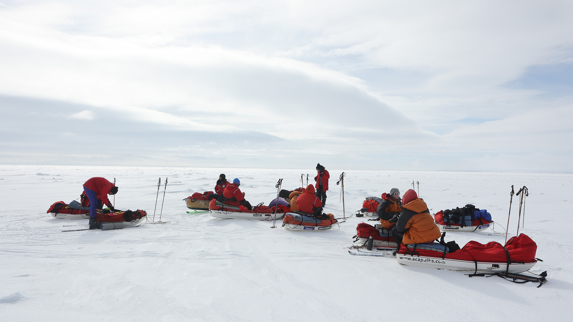 Московские школьники отправятся в Арктическую экспедицию, фото
