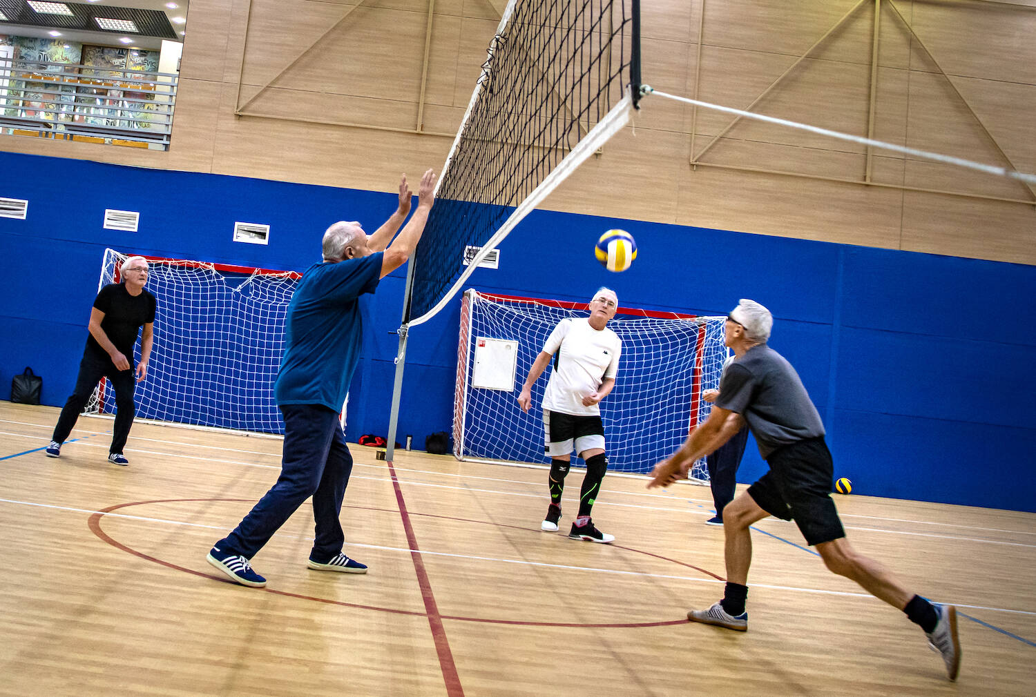 В Вешняках открылась секция волейбола для жителей старшего возраста, фото