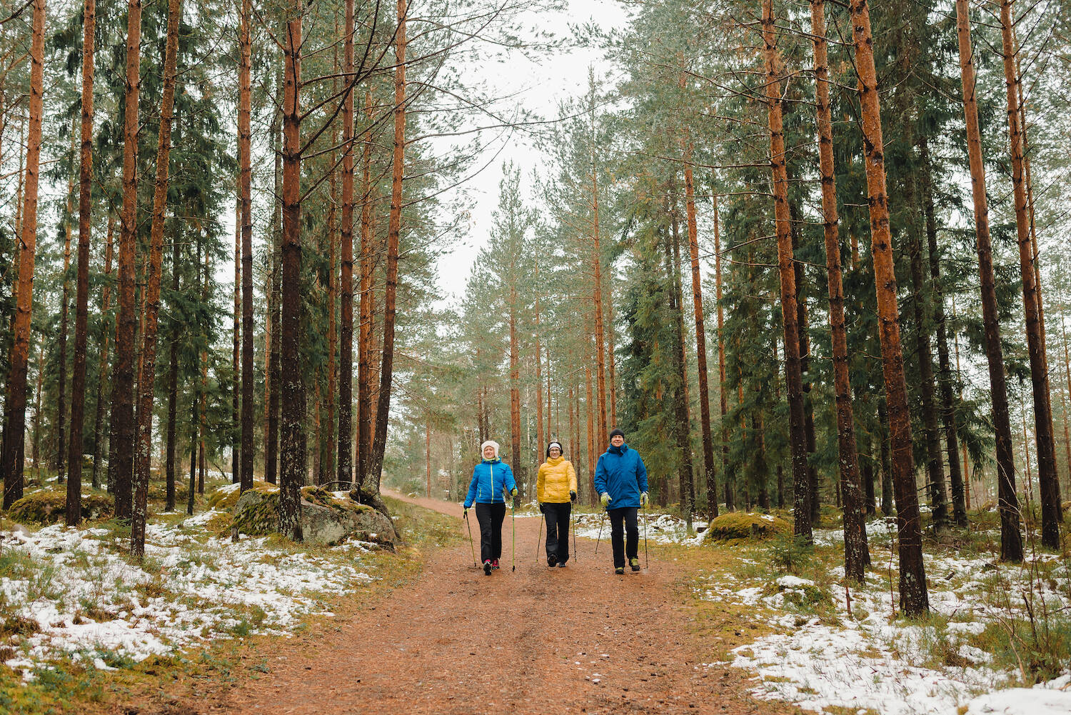 В Савёловском парке проводятся занятия по скандинавской ходьбе для пенсионеров, фото