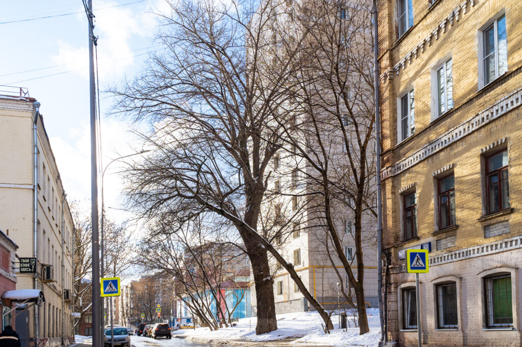 Электрозаводская — Бауманская: укрытие от немцев в Немецкой слободе  фото