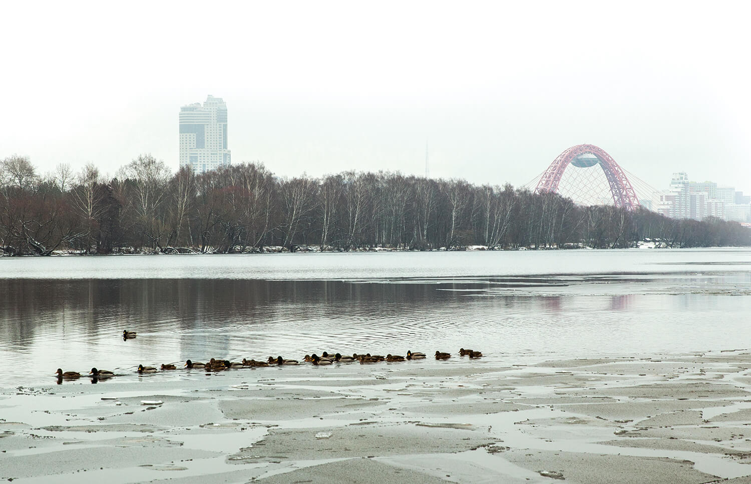 Вода крылатское. Крылатское.